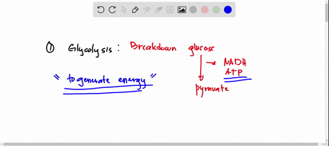please-answer-all-parts-a-major-role-of-glycolysis-is-which-of-the-following-a-to-synthesize-glucose-b-to-generate-energyc-to-produce-fadh2-d-to-synthesize-glycogen-e-to-use-atp-to-generate-28137