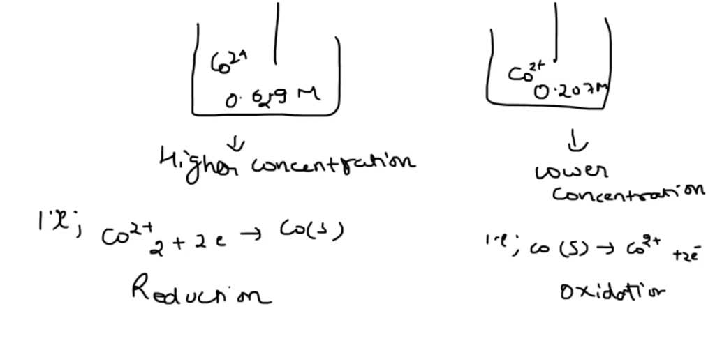 Solved Salt Bridge A Concentration Cell Similar To The One Shown Is