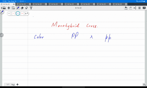 with-punnett-square-calculate-the-probability-of-all-possible-genotypes-of-offsprings-in-monohybrid-cross-39368