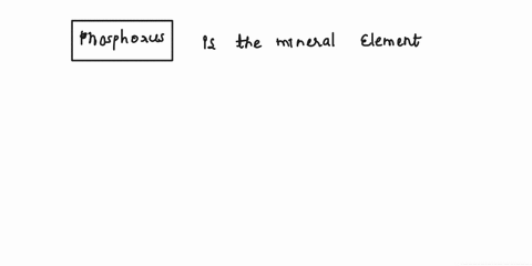 which-mineral-element-is-found-in-nucleic-acids-49673