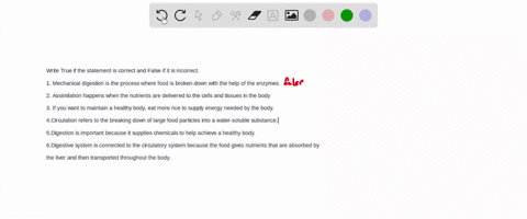 write-true-if-the-statement-is-correct-and-false-if-it-is-incorrect1-mechanical-digestion-is-the-process-where-food-is-broken-down-with-the-help-of-the-enzymes2-assimilation-happens-when-the-28256