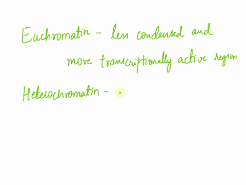 in-vitro-transcription-reactions-can-be-performed-by-mixing-general-transcription-factors-rna-polymerase-ii-nucleotides-and-a-dna-template-however-genomic-dna-does-not-work-when-used-as-the-12635