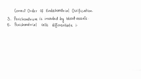 correctly-order-the-following-key-steps-in-the-process-of-endochondral-ossification-1-chondrocytes-die-2-osteoblasts-build-the-bone-collar-on-the-external-surface-of-the-bone-3-perichondrium-79918