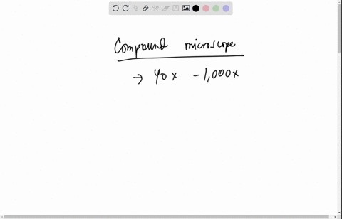 choose-the-best-answer-1-using-a-compound-microscope-a-person-can-view-the-specimen-on-stage-magnified-up-to-____-times-a-1000-b-50-c-100-d-10-e-10000-2-choose-the-best-answer-what-is-the-ma-67284