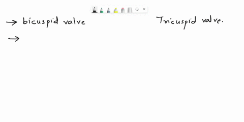 what-is-the-difference-between-bicuspid-valve-and-tricuspid-valve-02938