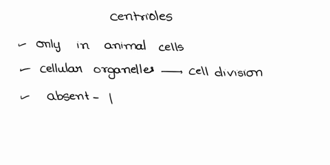 which-of-the-following-statements-correctly-describe-centrioles-check-all-that-apply-a-centrioles-are-only-found-in-animal-cells-b-spindle-fibers-are-connected-to-centrioles-c-centrioles-are-36462