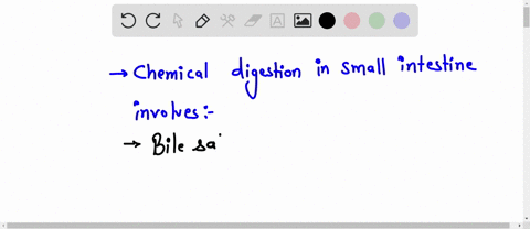 chemical-digestion-in-the-small-intestine-involves-________-a-a-significant-amount-of-enzyme-secretion-by-the-intestinal-mucosa-b-cholecystokinin-cck-an-intestinal-hormone-responsible-for-ga-86673