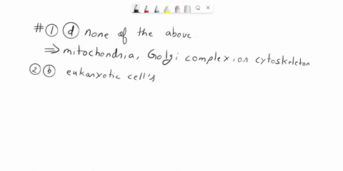 1-organelles-in-prokaryotic-cells-include-the-a-mitochondriabcytodkeletonc-golgi-complexd-none-of-the-above2a-major-difference-between-prokaryotic-and-eukaryotic-cells-is-thata-prokaryotic-c-03243