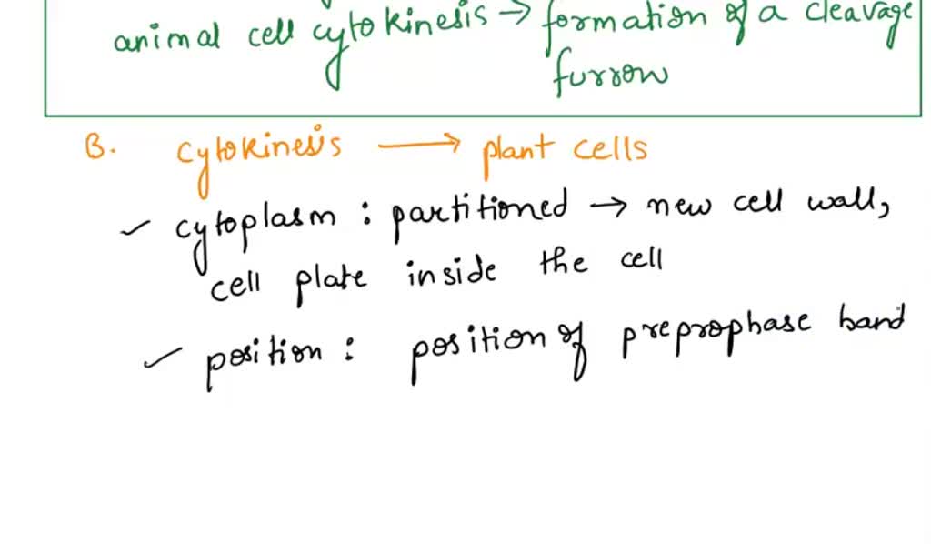 SOLVED: When does cytokinesis occur in most types of cells relative to the  stages of mitosis? A. Cytokinesis in plant and animal cells is different.  B. Describe how cytokinesis occurs in plant