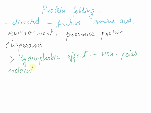 protein-folding-is-thought-to-be-directed-by-the-hydrophilic-parts-of-the-protein-arranging-into-secondary-structures-first-followed-by-hydrophobic-regions-being-sequestered-away-from-the-aq-31382