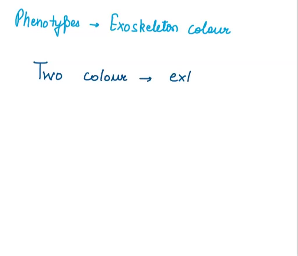 SOLVED: How many phenotypes for exoskeleton color are exhibited in the ...