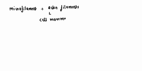 certain-human-cells-are-highly-motile-which-means-they-can-move-throughout-the-tissues-of-your-body-other-than-a-flagellum-or-cilia-which-other-cytoskeletal-component-would-be-directly-invol-18053