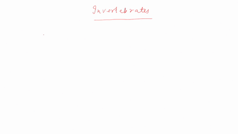which-of-the-following-characteristics-apply-mainly-to-invertebrates-choose-all-that-apply-a-many-different-body-plans-that-display-all-types-of-symmetry-b-backbone-and-inner-skeletal-struct-74363