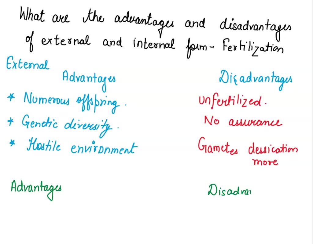 solved-what-are-the-advantages-and-disadvantages-of-internal