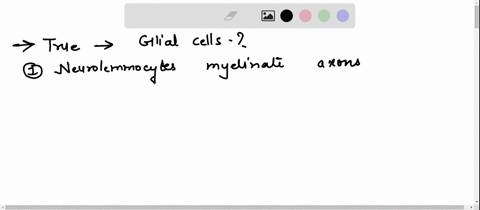 question-181point-which-of-the-following-isare-true-for-glial-cellsselect-all-that-apply-neurolemmocytesschwann-cells-myelinate-axons-in-the-central-nervous-system-astrocytes-are-important-f-83427