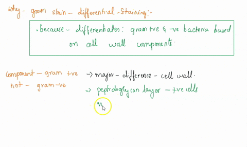 why-is-the-gram-stain-considered-a-differential-staining-technique-which-components-of-a-gram-positive-cell-wall-are-not-found-in-a-gram-negative-cell-which-components-of-a-gram-negative-cel-57707