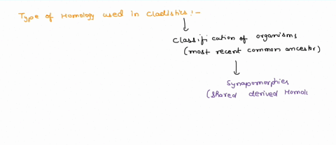 in-cladistics-what-type-of-homologous-characters-are-used-to-build-trees-and-determine-phylogenetic-relationships-between-taxa-42187