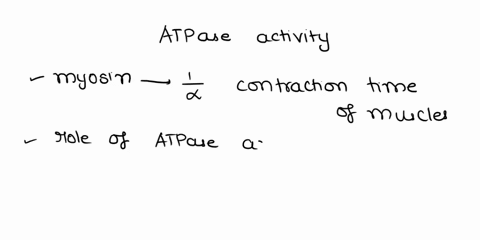q1-contains-an-atpase-activity-a-calsequestrin-b-actin-c-myosin-d-troponin-complex-e-tropomyosin-q2-all-of-the-following-amino-acids-or-amino-acid-derivatives-neurotransmitters-are-activated-43145