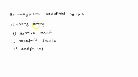 the-memory-process-most-affected-by-age-is-working-memory-the-central-executive-visuospatial-sketchpad-phonological-loop-81472