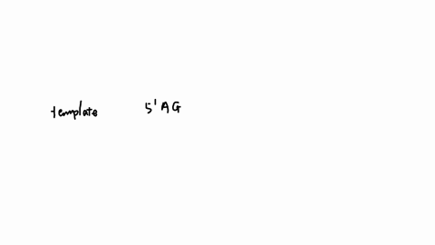 a-particular-triplet-of-bases-in-the-template-strand-of-dna-is-5-agt-3-the-corresponding-codon-for-the-mrna-transcribed-is-3-uca-5-3-uga-5-5-tca-3-3acu-5-either-uca-or-tca-depending-on-wobble-in-the-f