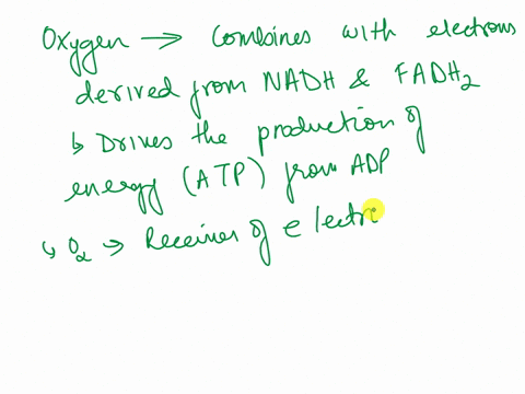 mitochondria-carrying-out-oxidative-phosphorylation-consume-oxygen-explain-what-happens-to-this-oxygen-and-describe-the-effect-of-an-uncoupling-agent-such-as-24-dinitrophenol-on-the-rate-of-49973