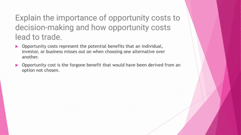 explain-the-importance-of-opportunity-costs-to-decision-making-and-how-opportunity-costs-lead-to-trade-63905