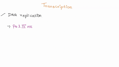 list-the-process-of-transcription-by-dna-directed-rna-polymerase-dependent-dna-polymnerase-iii-dna-04184