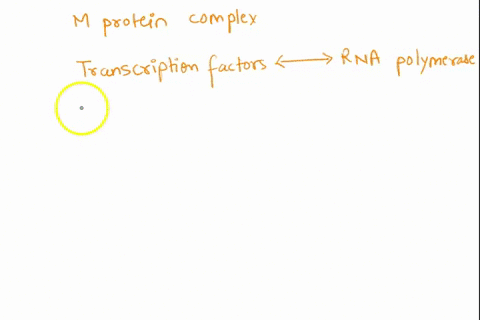 the-muprotein-complex-that-acts-as-a-bridge-between-transcription-factors-and-rna-polymerase-ii-is-an-mediator-repressor-attenuator-none-of-the-answers-is-correct-coactivator-74268
