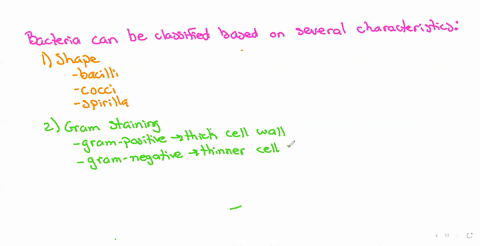 the-cell-is-an-important-characteristic-of-the-bacterial-cell-what-are-the-different-classifications-of-bacteria-based-on-their-characteristics
