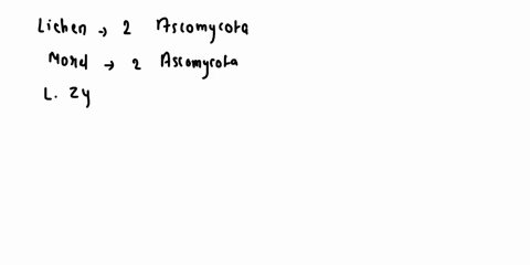 7-matching-lichen-morel-l-zygomycota-2-ascomycota-3-basidiomycota-mycophycophyta-b-bread-mold-coprinus-rhizopus-yeast-pezizu-corn-smut-powdery-mildew-54374