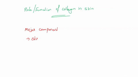 collagen-lends-_____-to-the-skin-a-elasticity-b-structure-c-color-d-uv-protection-17339