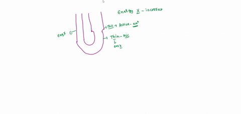 412-the-kidneys-and-osmoregulatory-organs3-which-is-true-of-the-loop-of-henle-a-no-energy-is-used-in-a-functioning-loop-of-henle-b-osmolality-of-fluid-inside-the-loop-increases-as-it-descend-88835