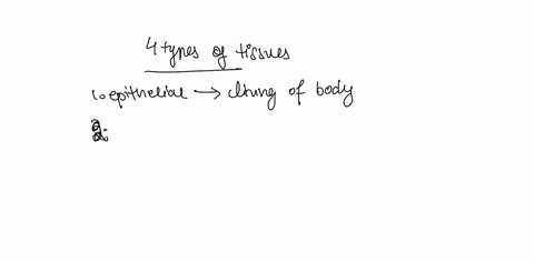 identify-the-four-types-of-tissue-in-the-body-anddescribe-the-major-functions-of-each-tissue-98267