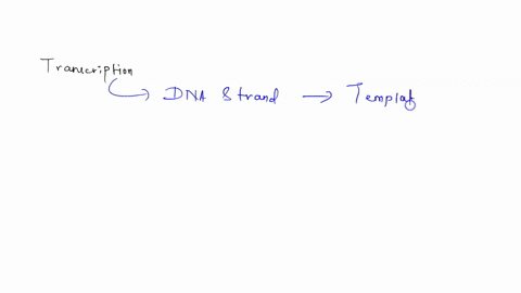 fill-in-the-blanks-transcription-is-the-creation-of-______-from-an-______-template-21397