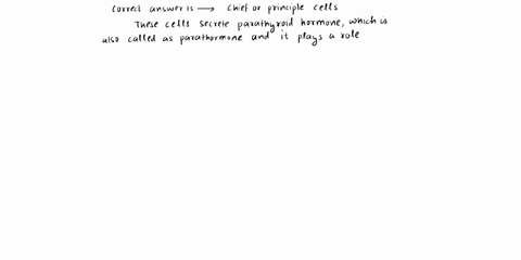 what-cell-in-the-parathyroid-gland-secretes-parathyroid-hormone-multiple-choice-chief-principal-cell-oxyphil-basophil-parafollicular-cell-30415