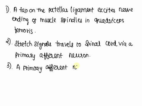 place-the-following-descriptions-into-the-correct-order-to-represent-the-sequence-of-events-in-a-patellar-reflex-arc-elferent-signals-in-the-motor-nerve-fiber-stimulate-the-quadriceps-femori-56396