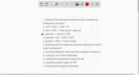 1-which-of-the-chemical-reactions-below-would-be-an-endergonic-reaction-a-atp-h2o-adp-pi-b-fats-h2o-fatty-acids-glycerol-c-glucose-starch-h2o-d-glucose-o2-co2-h2o-e-protein-h2o-amino-acids-2-12572