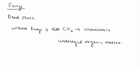 explain-why-fungi-that-degrade-dead-plant-materials-are-important-to-the-global-carbon-cycle-do-you-36238