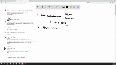 using-a-microscope-with-a-10x-ocular-lens-and-10x-objective-lens-you-measure-the-field-of-view-to-be-16-mm-what-is-the-total-magnification-of-the-microscope-select-100x-20x-200x-10x-you-obse-76205
