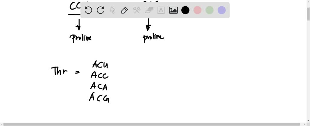 SOLVED: Imagine that a mutation in a DNA molecule results in the codon ...