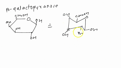 draw-beta-d-galactopyranose-and-beta-d-mannopyranose-in-their-more-stable-chair-conformations-label-46108