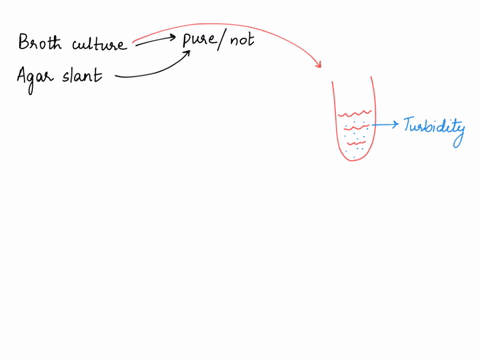 can-you-determine-if-a-broth-culture-is-a-pure-culture-just-by-looking-at-it-why-or-why-not-how-about-an-agar-slant-why-or-why-not-51667