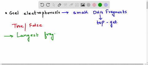 true-or-false-during-gel-electrophoresis-small-dna-fragments-are-found-towards-the-top-of-the-gel-true-false-46587