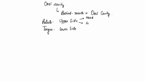 discuss-the-anatomy-of-the-oral-cavity-and-list-the-functions-of-its-major-structures-17181