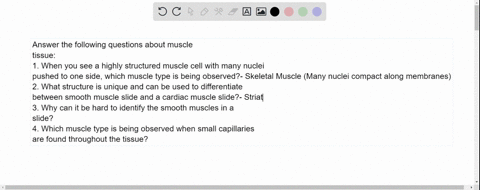 answer-the-following-questions-about-muscle-tissue-1-when-you-see-a-highly-structured-muscle-cell-with-many-nuclei-pushed-to-one-side-which-muscle-type-is-being-observed-2-what-structure-is-44738