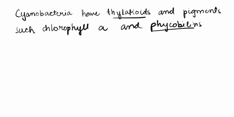 plantlike-photosynthesis-that-releases-o2-occurs-in-a-cyanobacteria-b-archaea-c-gram-positive-bacteria-d-chemoautotrophic-bacteria-15846