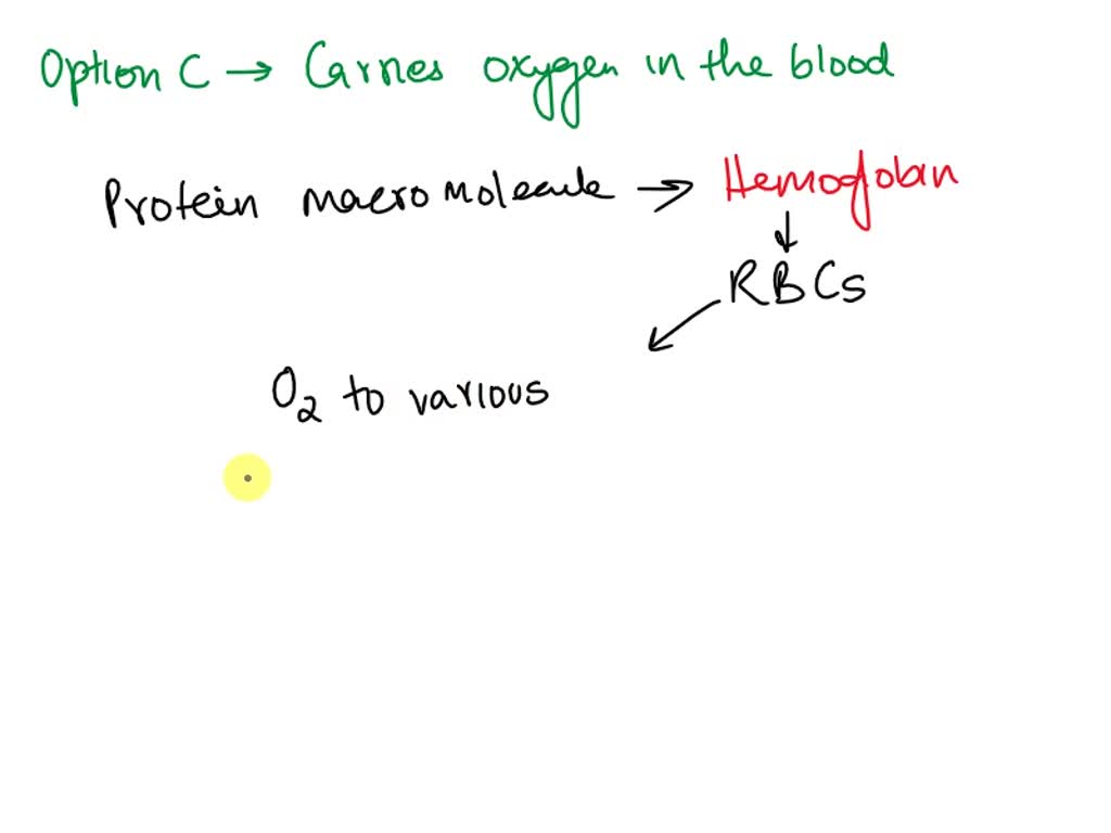 SOLVED which is one function of a protein macromolecule? A. Making up