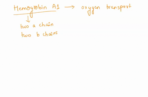 hemoglobin-a1-is-the-quaternary-protein-structure-on-red-blood-cell-involved-in-oxygen-transport-hemoglobin-a1-has-two-a-chains-and-two-b-chains-a-blood-ph-change-caused-several-bonds-to-bre-97163