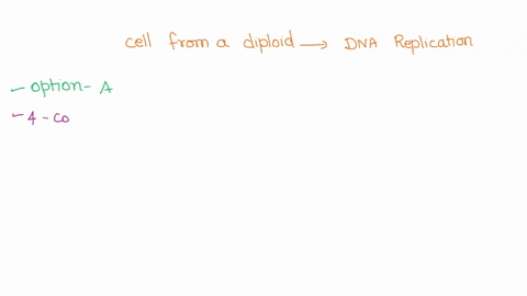 incorrect-question-17-0-05-pts-a-cell-from-diploid-organism-is-considered-to-have-but-before-meiosis-after-dna-replication-four-copies-of-every-gene-ie-4x-amount-of-dna-it-differs-from-cell-61277