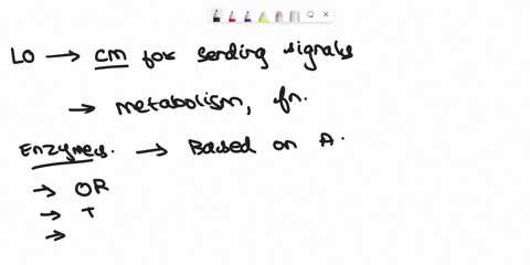 what-are-the-major-classes-of-enzymes-which-type-of-reactions-do-they-catalyze-give-an-example-to-one-of-them-show-its-substrates-reactants-and-products-of-this-enzyme-catalyzed-reaction-65146